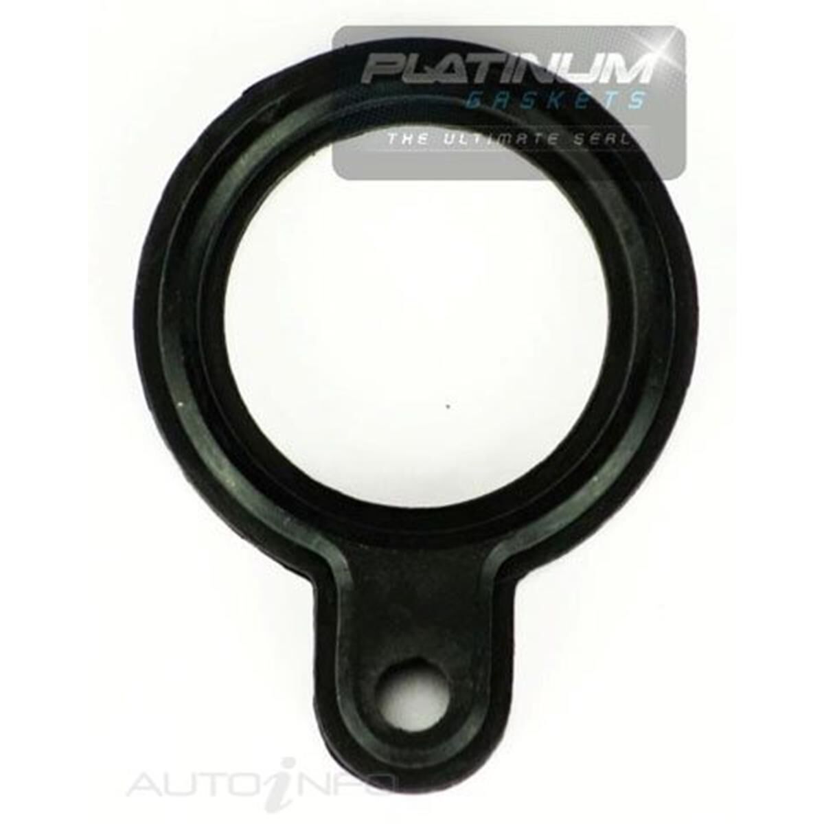 SPARK PLUG TUBE SEAL (6MM BOLT), , scaau_hi-res