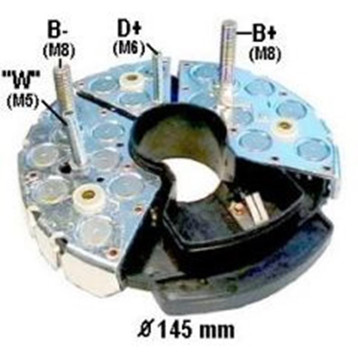 1127320547 1127320571, , scaau_hi-res