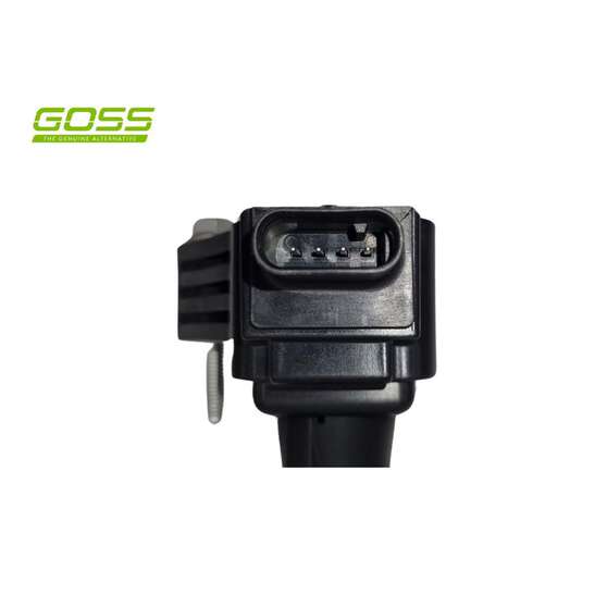 IGNITION COIL HOLDEN, , scaau_hi-res