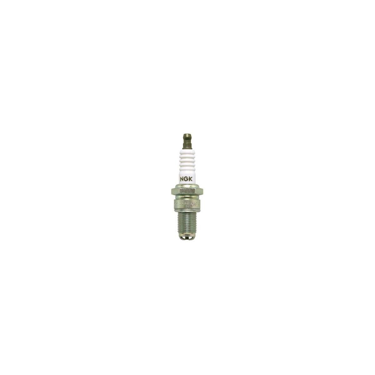 NGK MULTIGROUND SPARK PLUG - B7EM, , scaau_hi-res