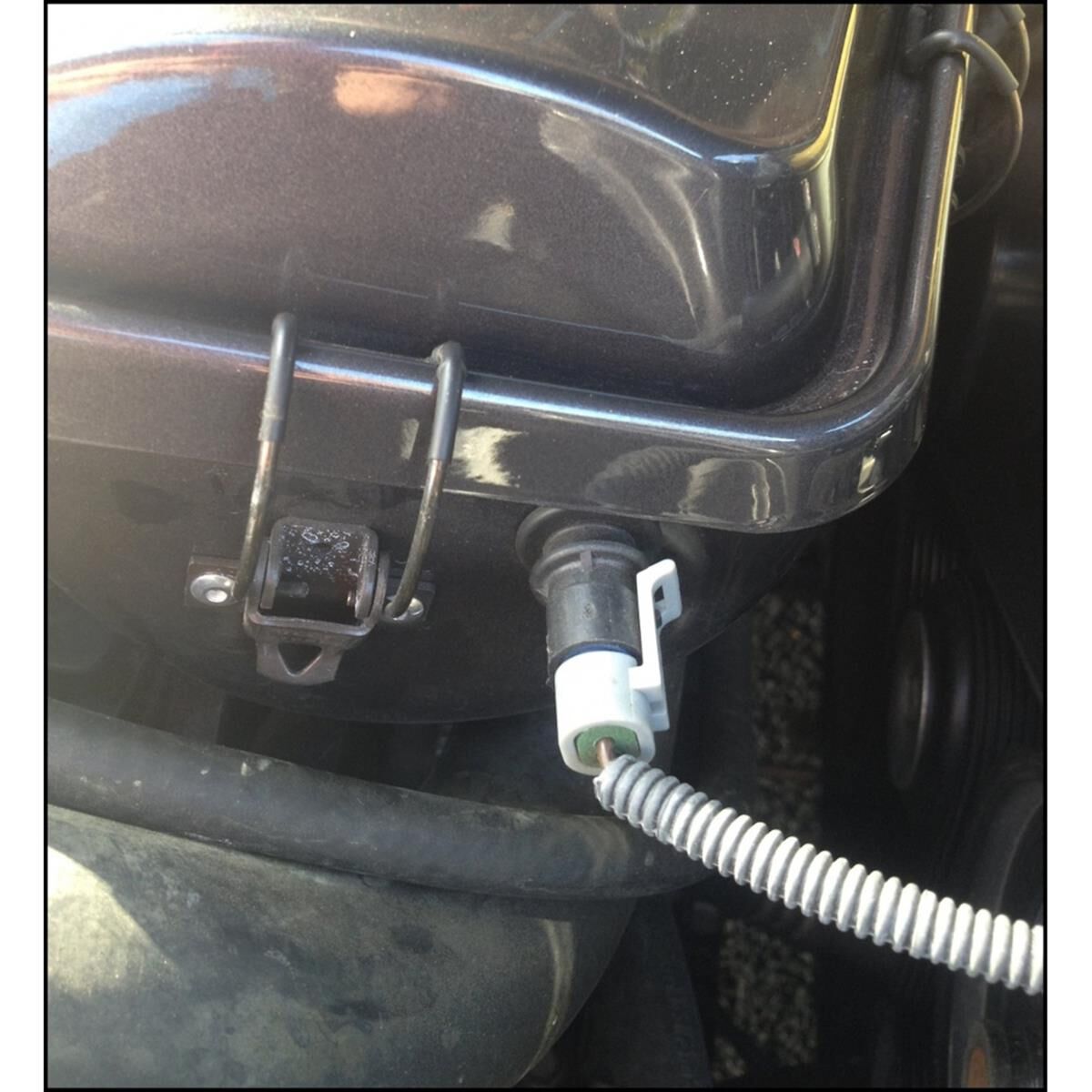 GROWLER OTR HOLDEN VE V8 (BLACK), , scaau_hi-res