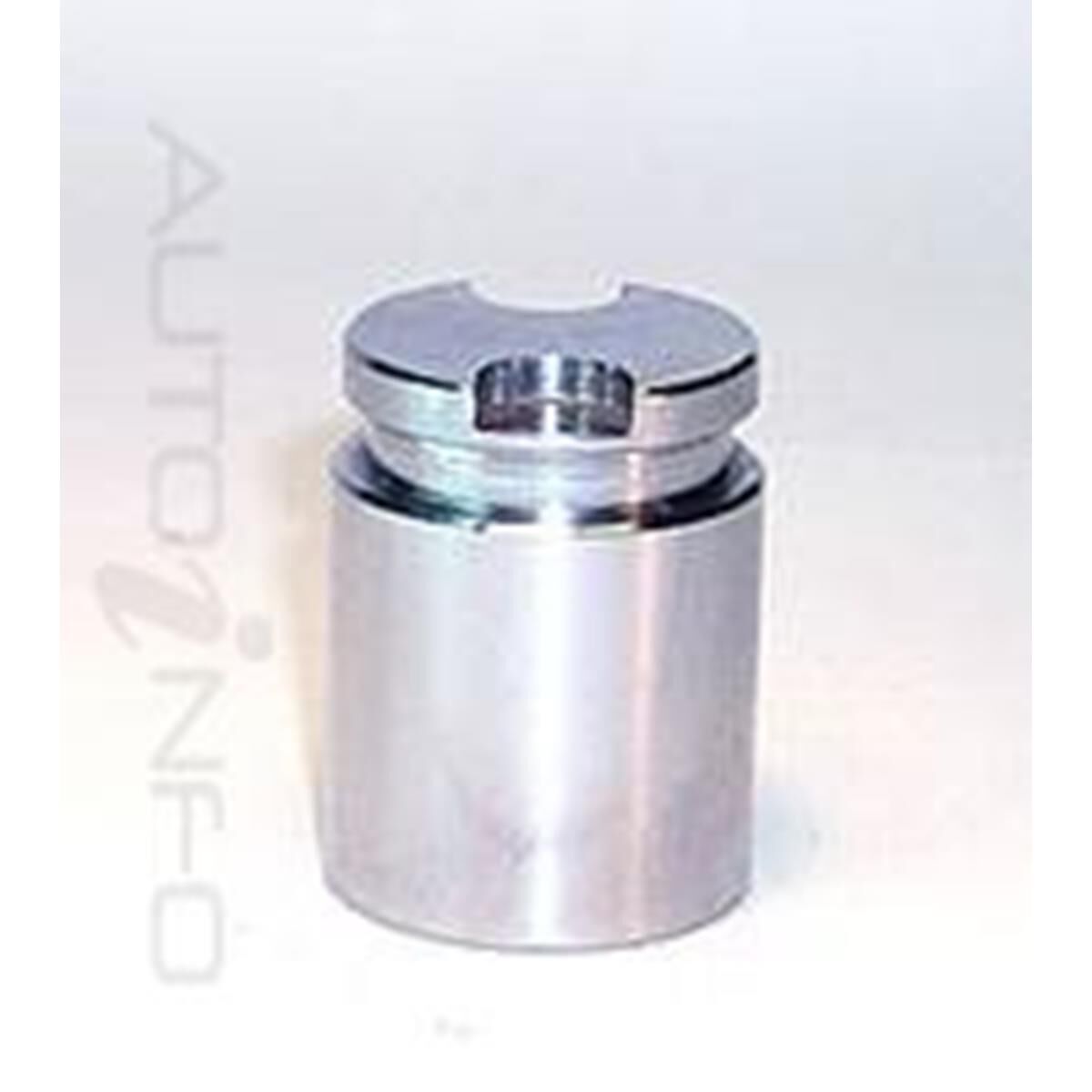 CAL PISTON, , scaau_hi-res