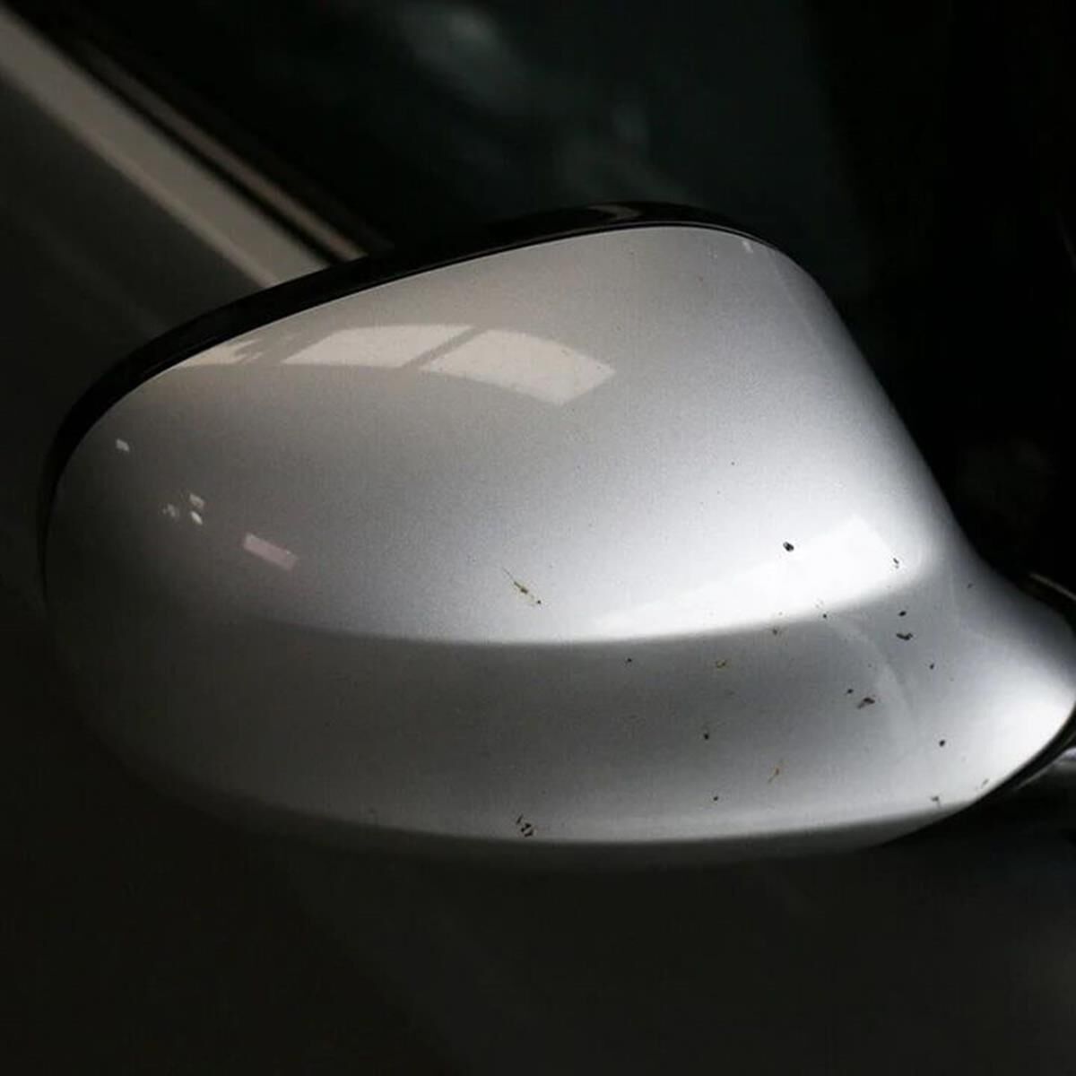 INSECT CLEANING SPONGE, , scaau_hi-res