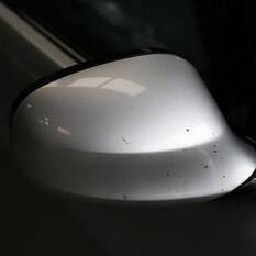 INSECT CLEANING SPONGE, , scaau_hi-res