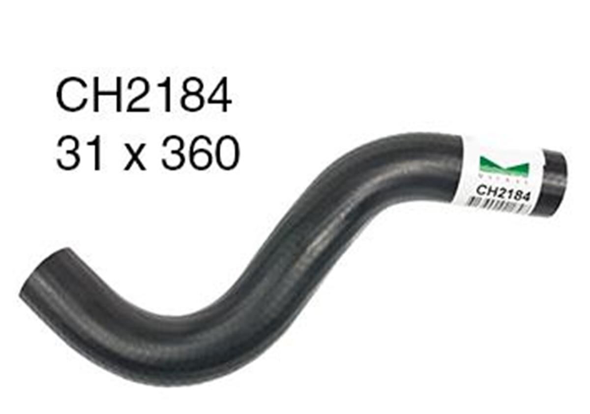 TOP HOSE CH2184 MACKAY! *, , scaau_hi-res