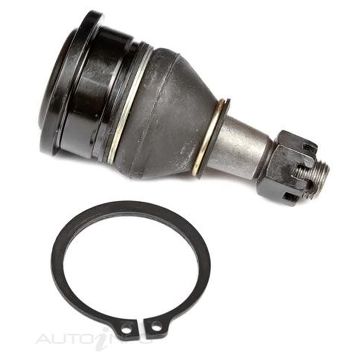 TOYOTA YARIS 03-ON LOWER BALL JOINT, , scaau_hi-res