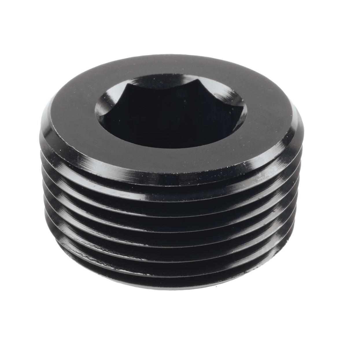 NPT PLUG 1'', , scaau_hi-res