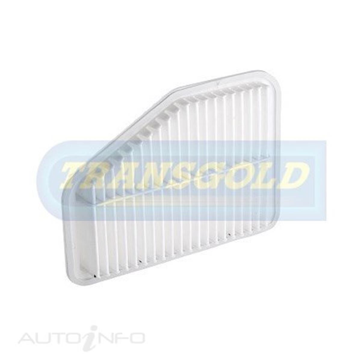 Ve commodore outlet air filter