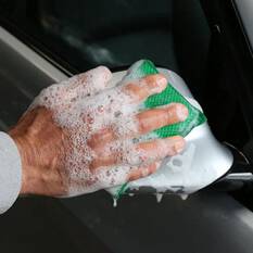 INSECT CLEANING SPONGE, , scaau_hi-res