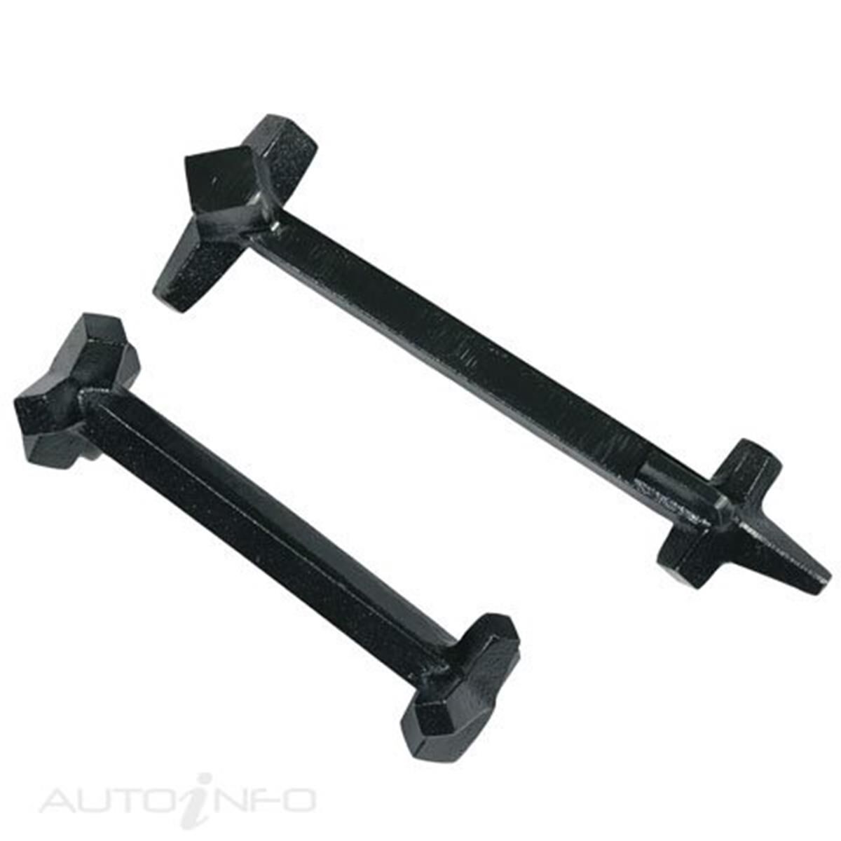 TOLEDO Male Drain Plug Remover Set 305216 