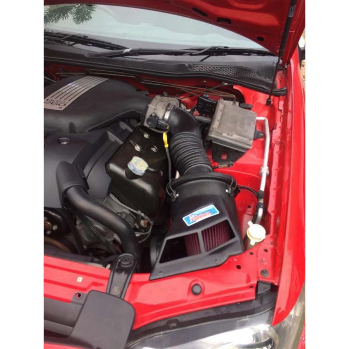 GROWLER FORD BA BOSS V8, , scaau_hi-res