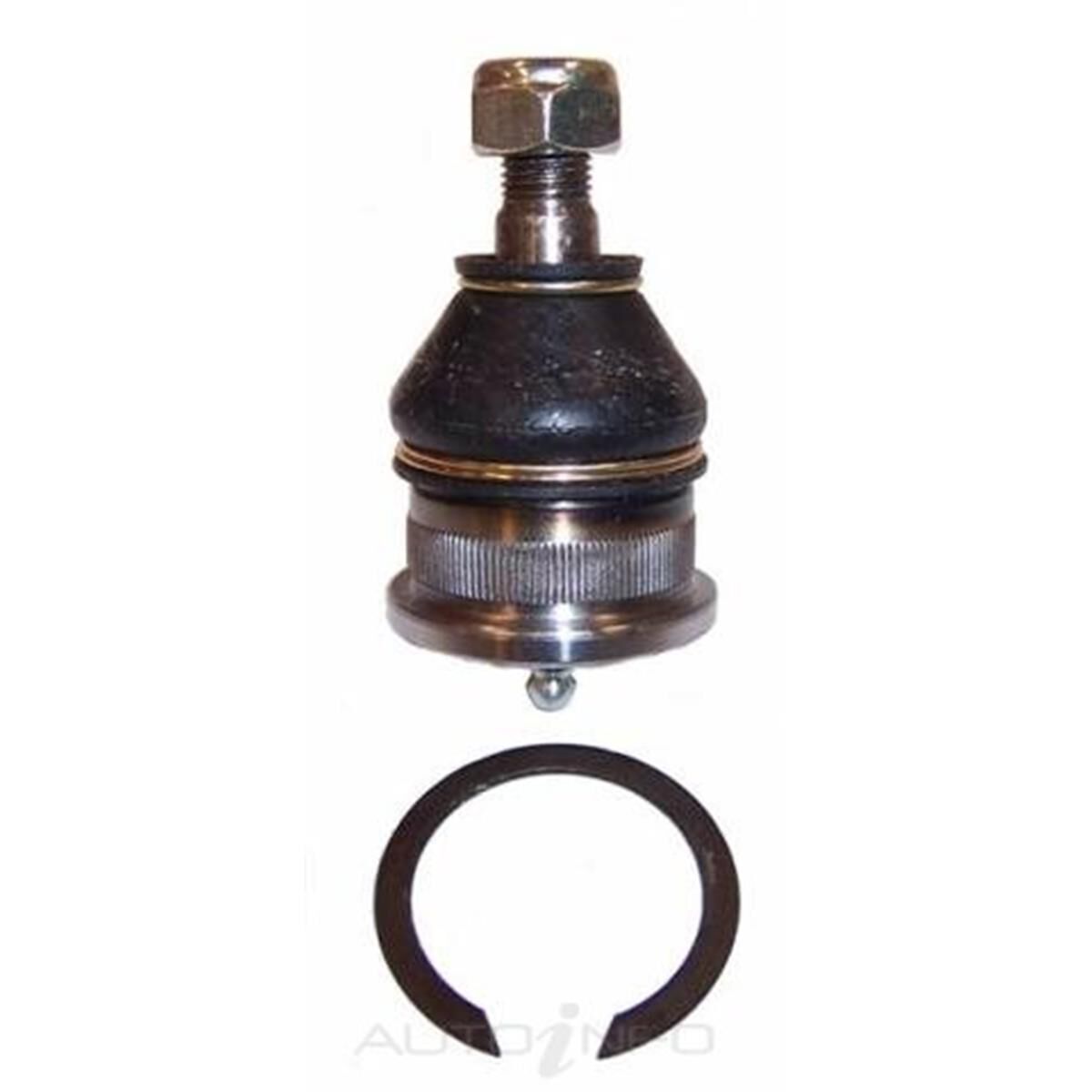 PTX HOLDEN TORANA LOWER BALL JOINT, , scaau_hi-res