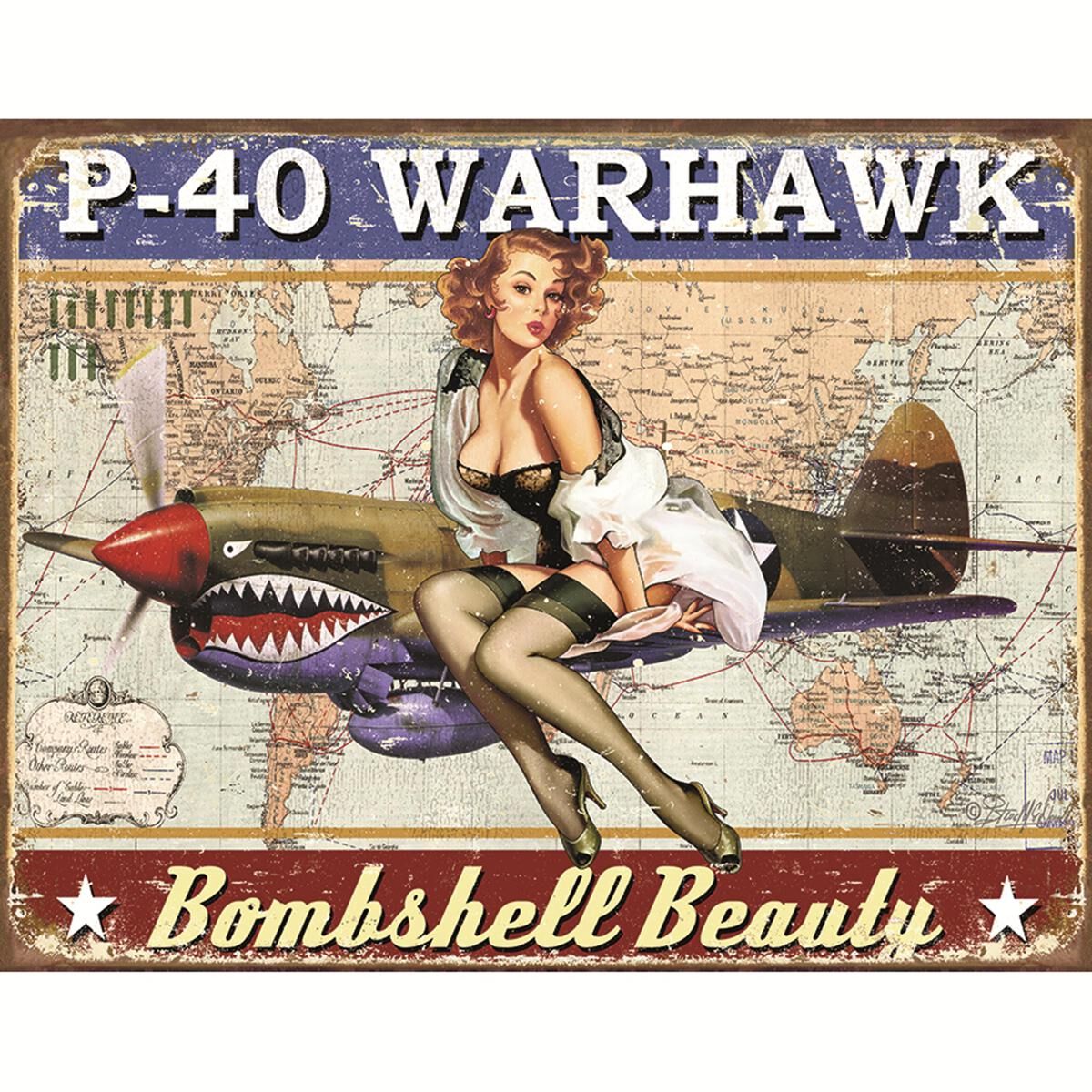 Sign-P-40 Warhawk, , scaau_hi-res