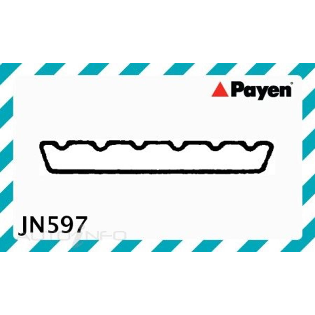 PAYEN VALVE COVER GASKET NISSAN SD33T, , scaau_hi-res