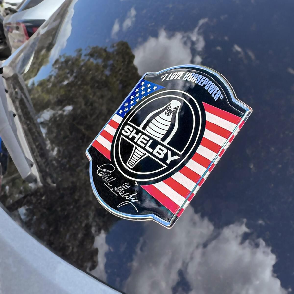 SHELBY COBRA MEDALLION LOGO CAR DECAL (BLACK/WHITE/CHROME), , scaau_hi-res