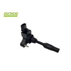 IGNITION COIL HOLDEN, , scaau_hi-res