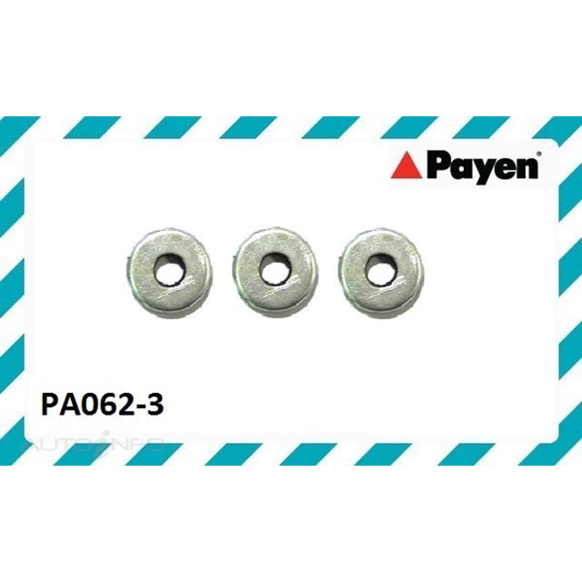 PAYEN ROCKER COVER BOLT WASHES, , scaau_hi-res