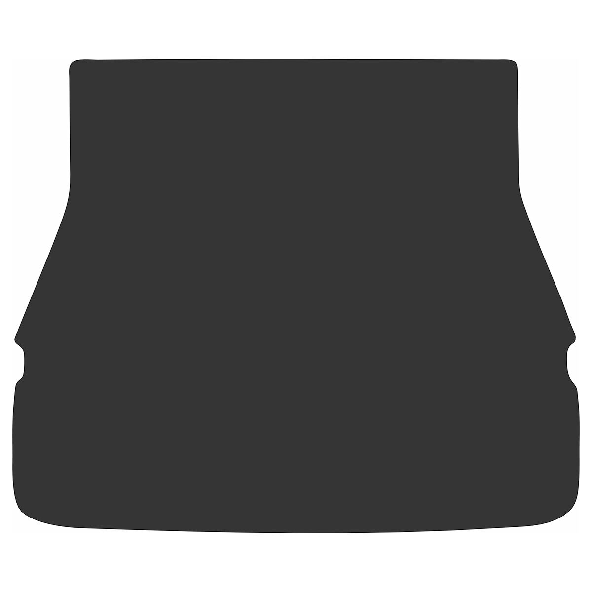 EXECUTIVE RUBBER BOOT LINER FOR LEXUS LBX 4WD 2024 ONWARDS, , scaau_hi-res