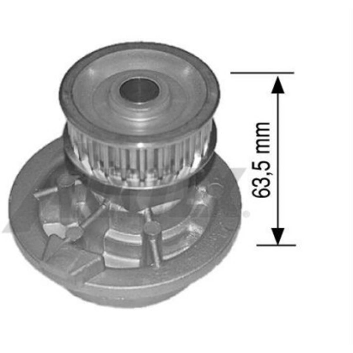 GMH C20NE X20SE 'WATER PUMP', , scaau_hi-res