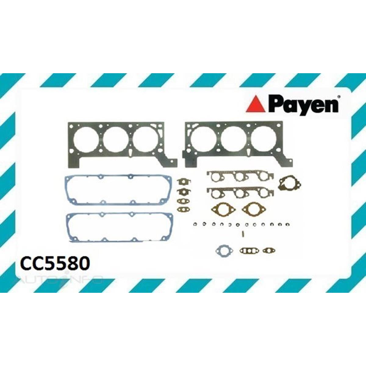 PAYEN VRS CHRYSLER 3.3L EGA, , scaau_hi-res
