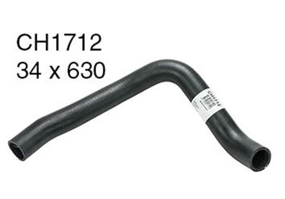 BOTTOM HOSE  CH1712 MACKAY! *, , scaau_hi-res