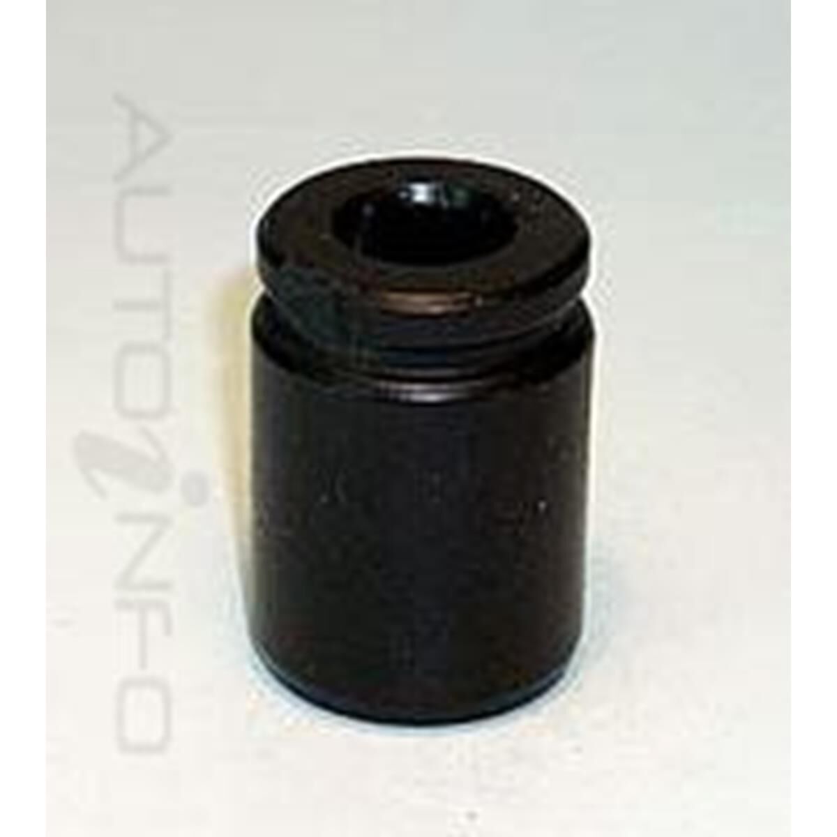 PISTON, , scaau_hi-res