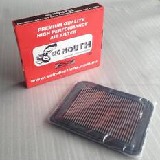 BIG MOUTH & PNEL FILTER COMBO FG GT PURSUIT & XR8, , scaau_hi-res