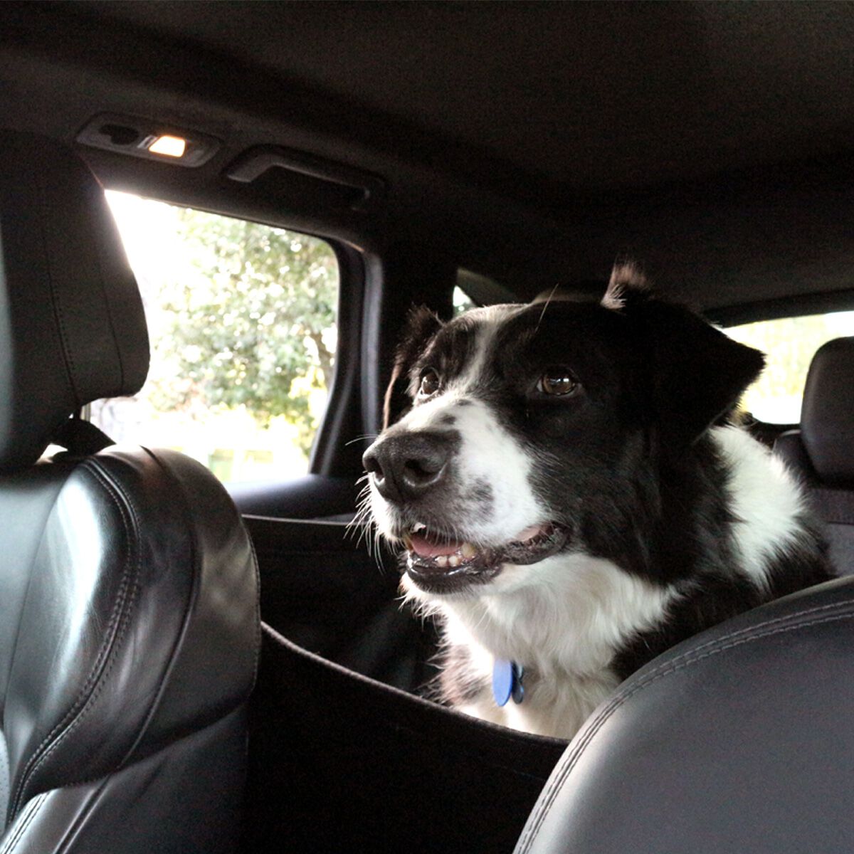 UNIVERSAL HEAVY DUTY PET SEAT COVERS, , scaau_hi-res