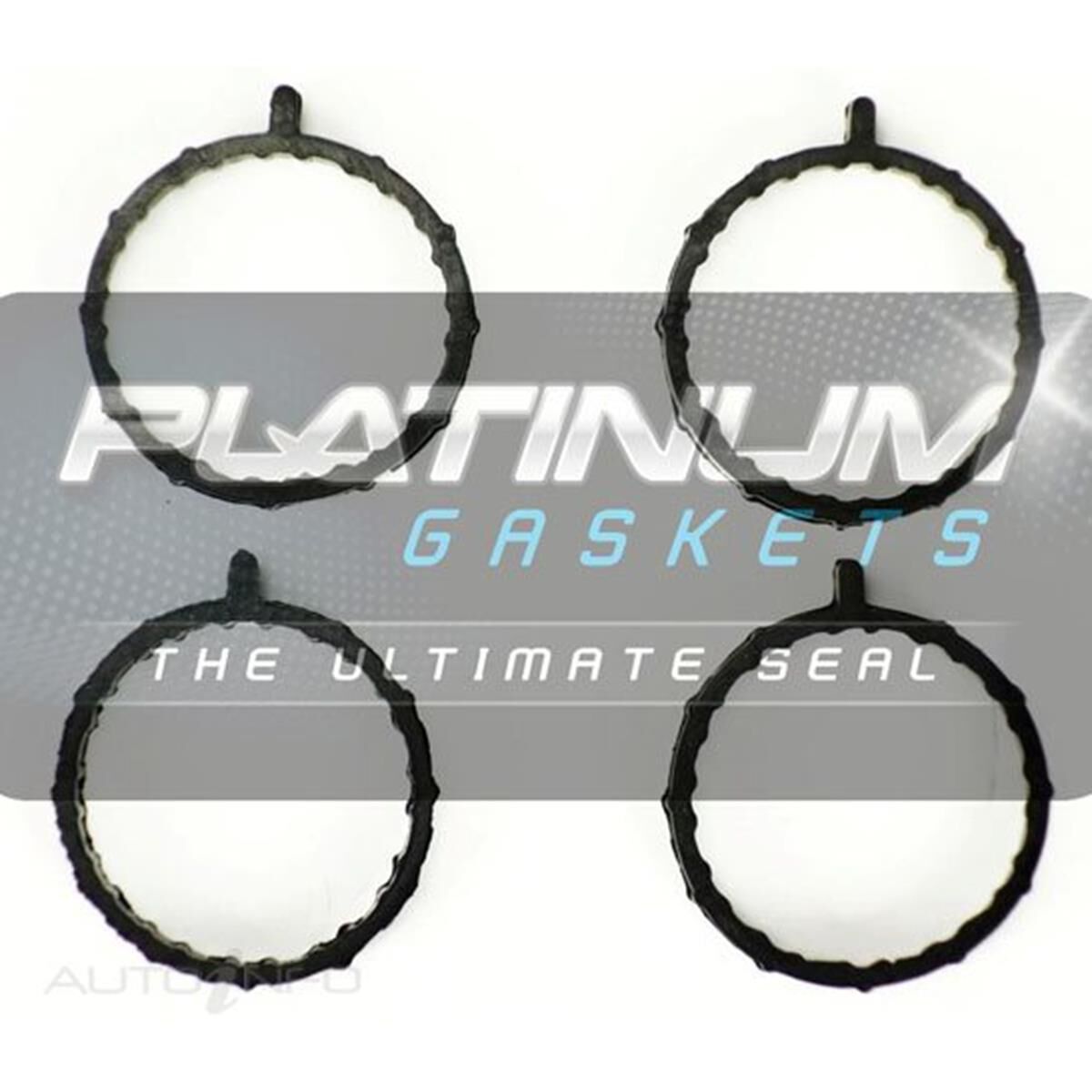 INLET MANIFOLD SET, , scaau_hi-res