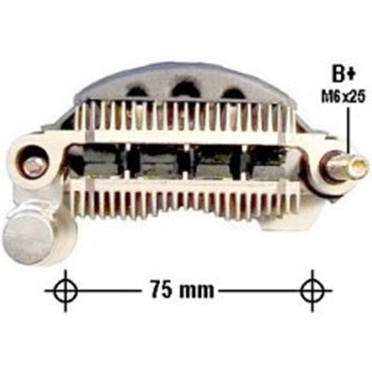 A1T03191, , scaau_hi-res