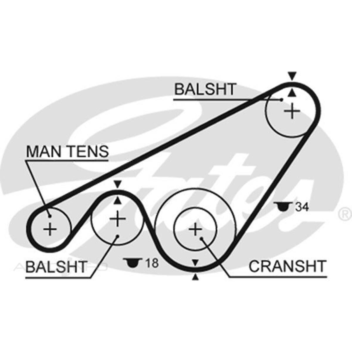 T174 - 40458 X 14MM, , scaau_hi-res