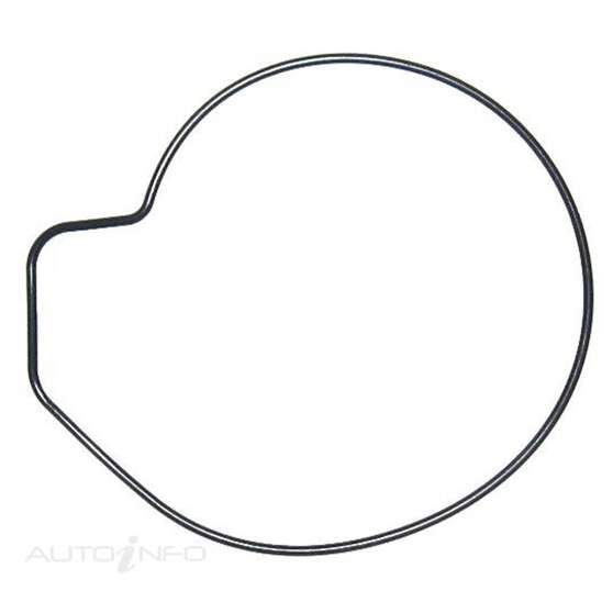 PTQ WATER PUMP GASKET, , scaau_hi-res