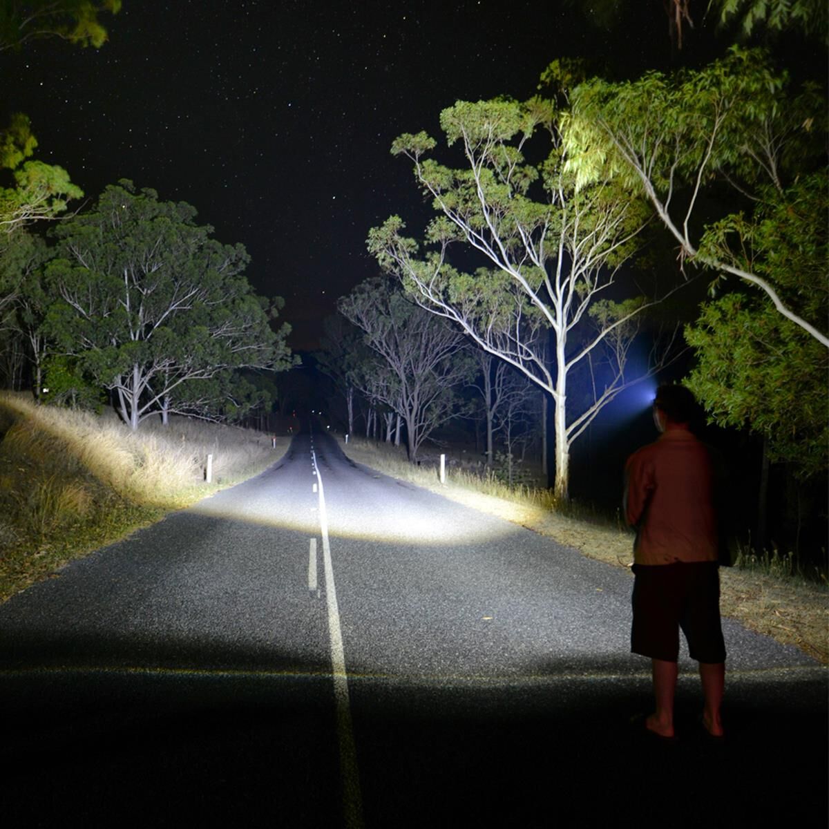 850 LUMEN LED HEAD TORCH, , scaau_hi-res