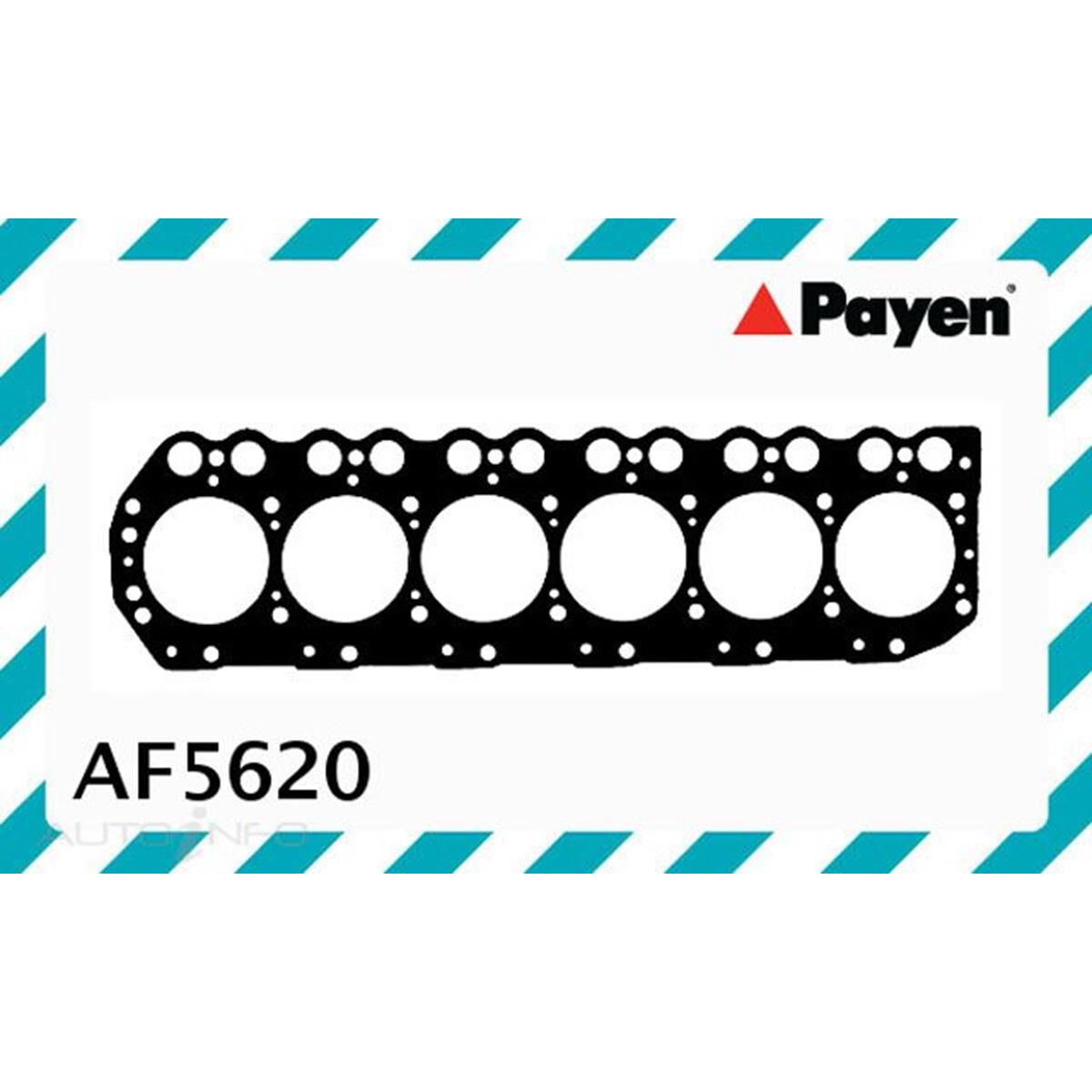 PAYEN HEAD GASKET NISSAN TD42, , scaau_hi-res