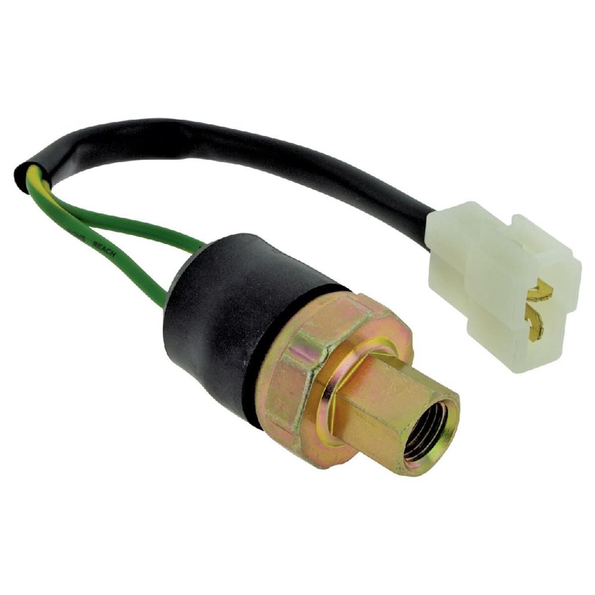 PRES SW BIN FEMALE LOOM, , scaau_hi-res