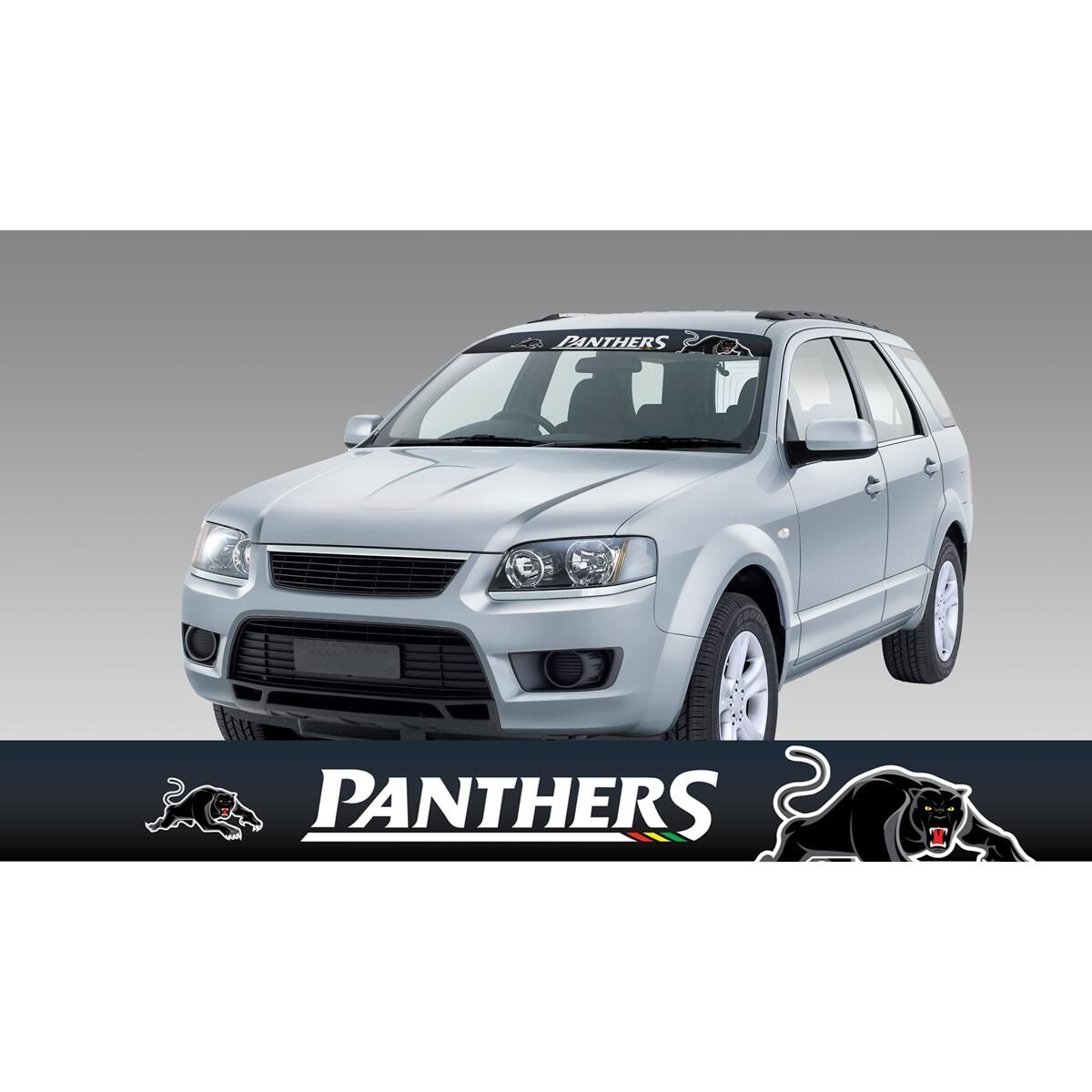 PANTHERS ITAG SUN VISOR RADIANT DESIGN, , scaau_hi-res