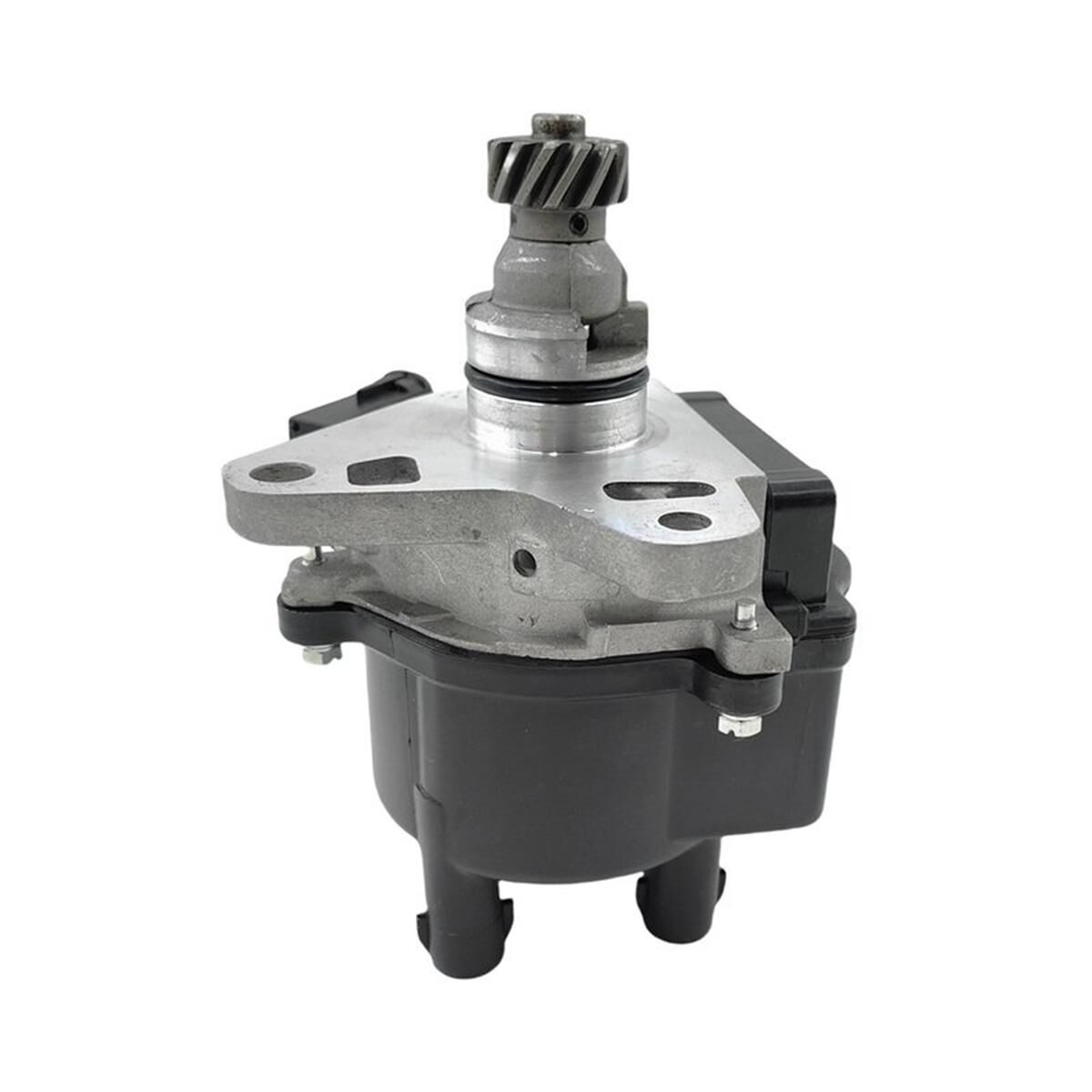 Distributor, , scaau_hi-res