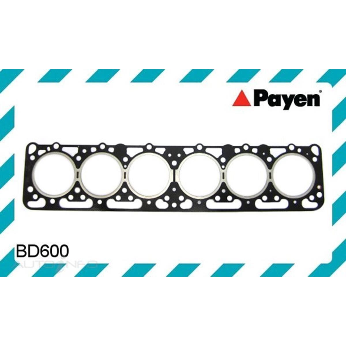 PAYEN HEAD GASKET FORD DORSET, , scaau_hi-res
