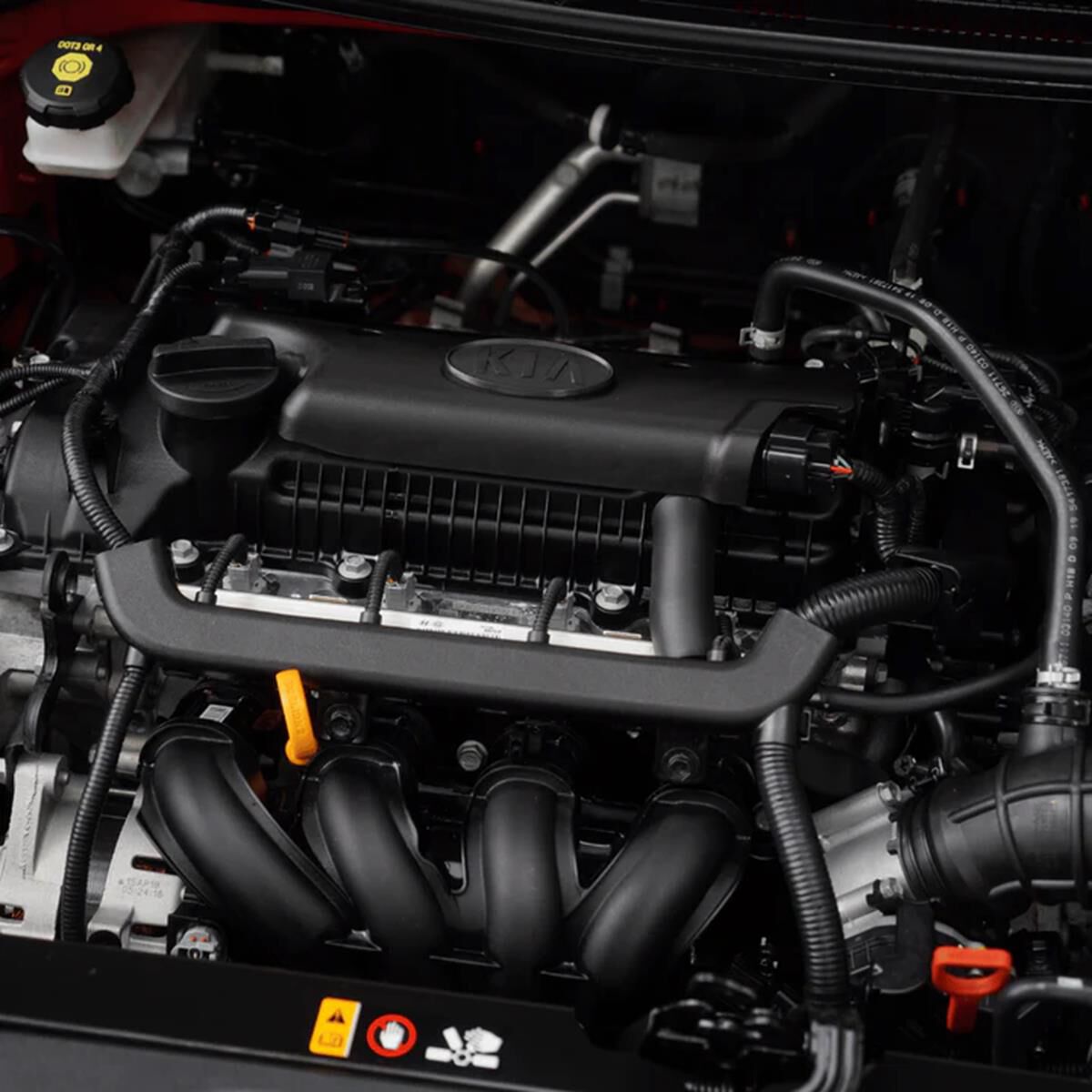 PROFILINE PLASTIC CARE 5L, , scaau_hi-res