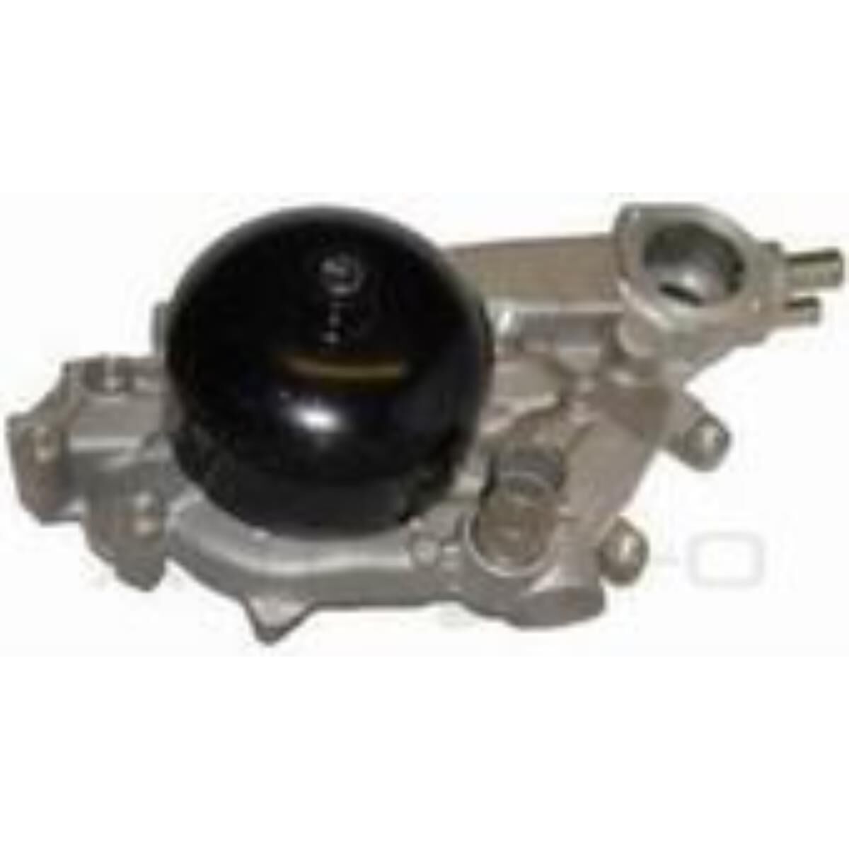 PTX GOLD COMMODORE VR VS V VX V8, , scaau_hi-res