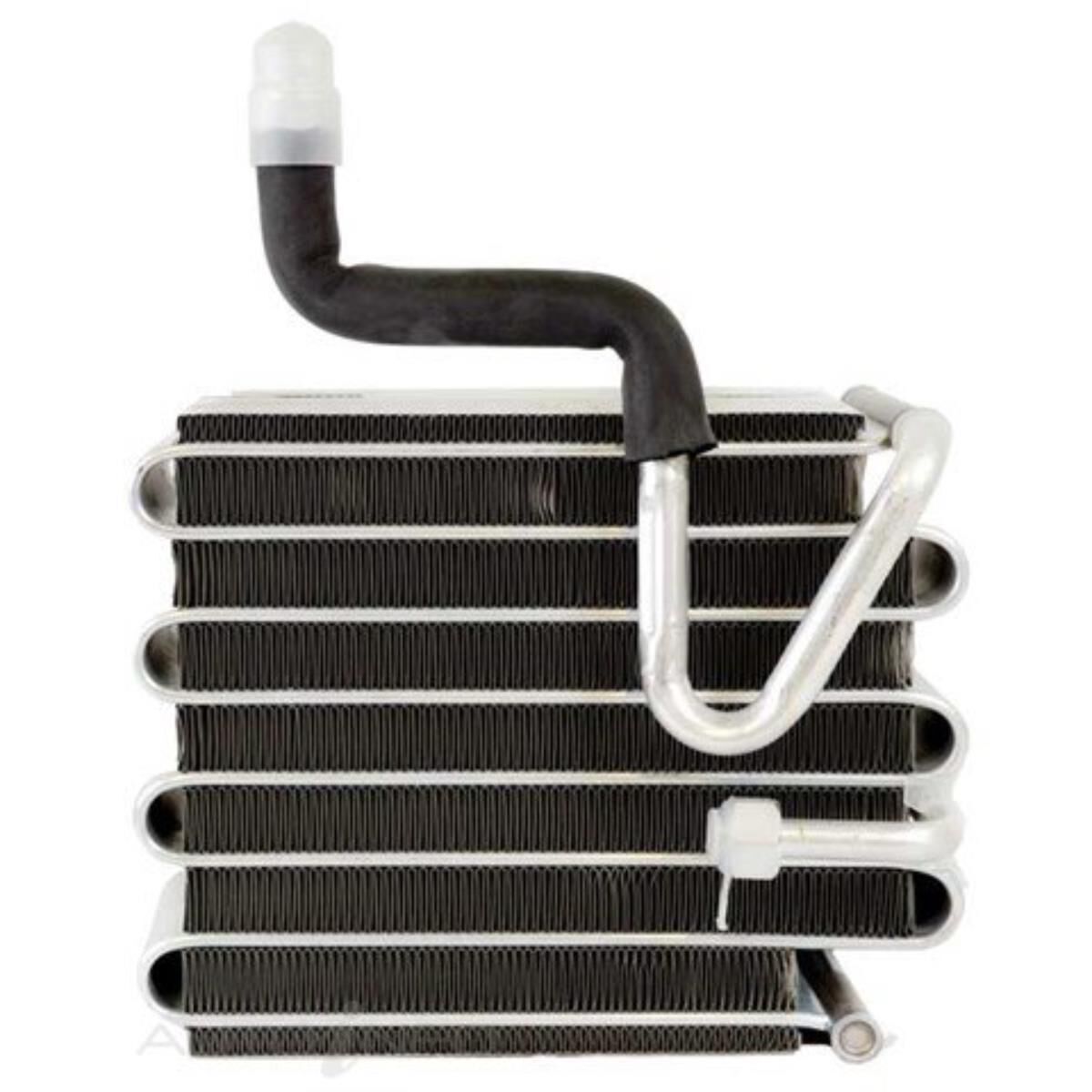 EVAP SUITS TOYOTA, , scaau_hi-res