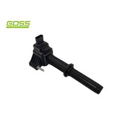 IGNITION COIL HOLDEN, , scaau_hi-res