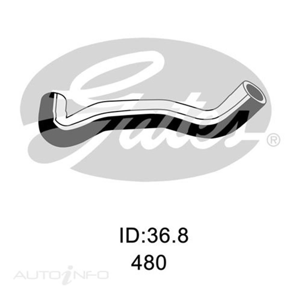 05-2185 GATES RADIATOR HOSE, , scaau_hi-res