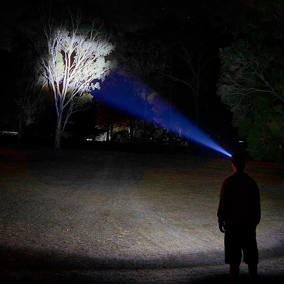 850 LUMEN LED HEAD TORCH, , scaau_hi-res