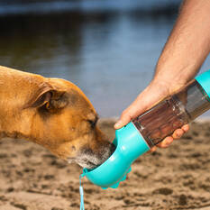 4 in 1 Feeding Bottle 300ml, , scaau_hi-res