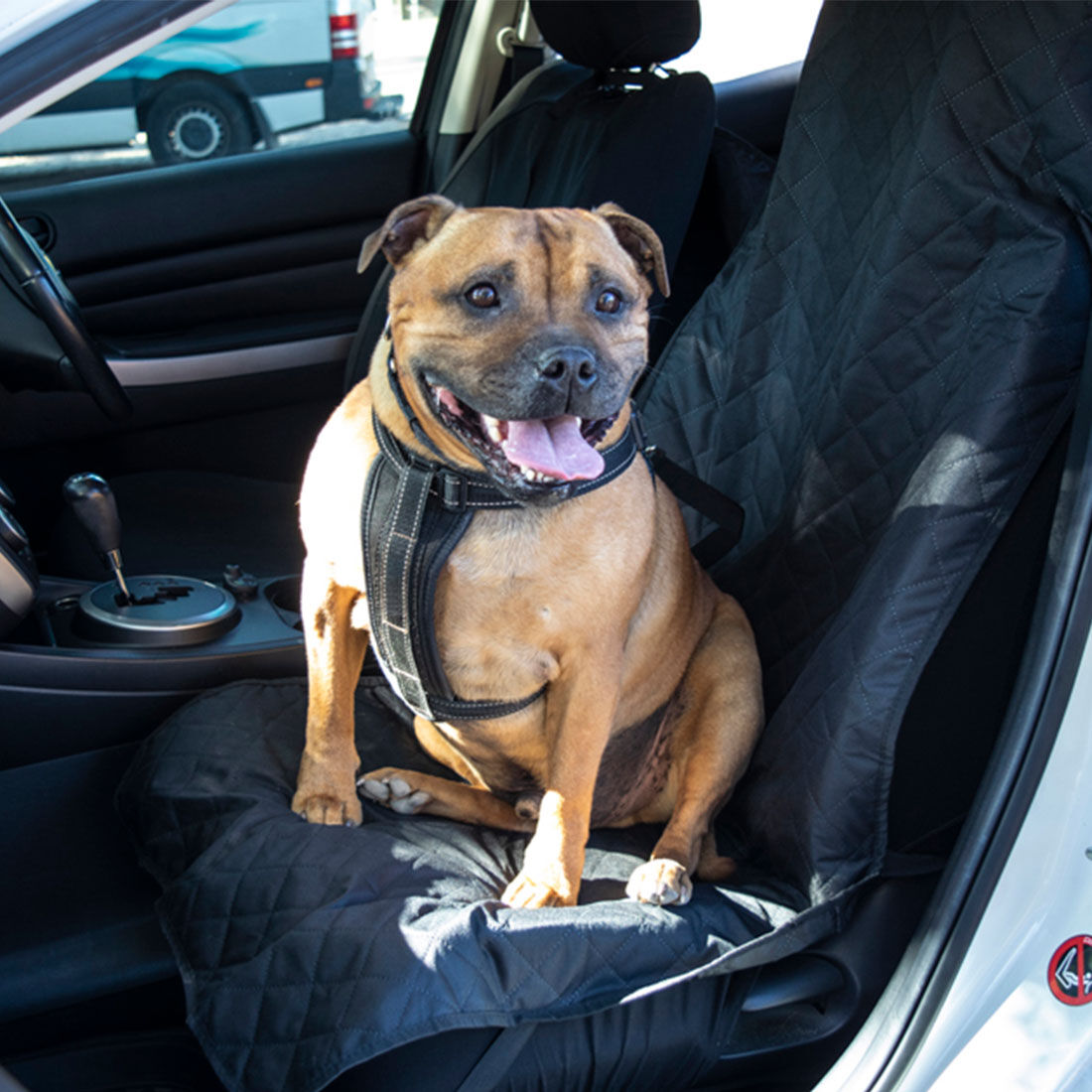 Cabin Crew Pets Single Front Seat Protector Supercheap Auto