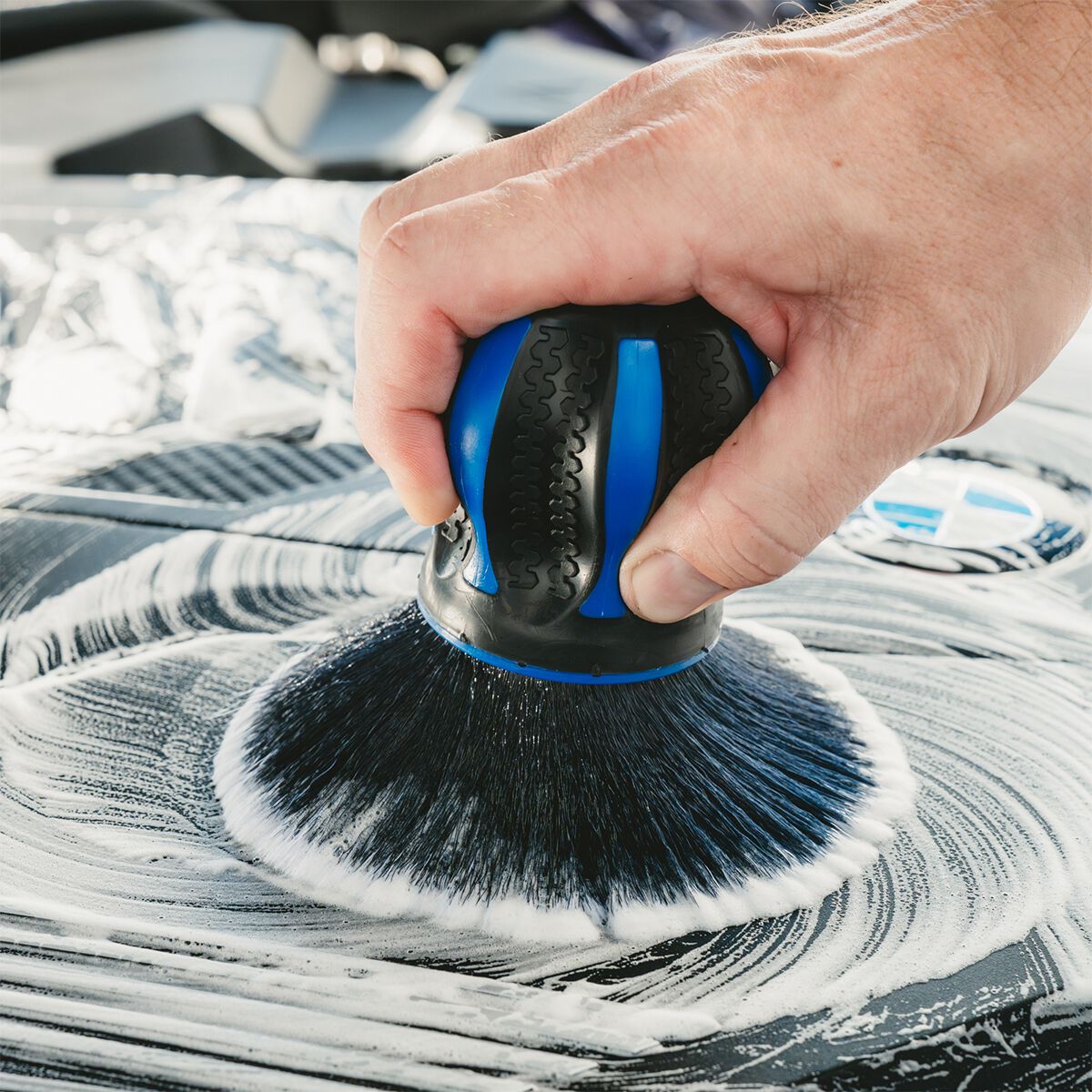 Bowden's Own Palmy Brush, , scaau_hi-res