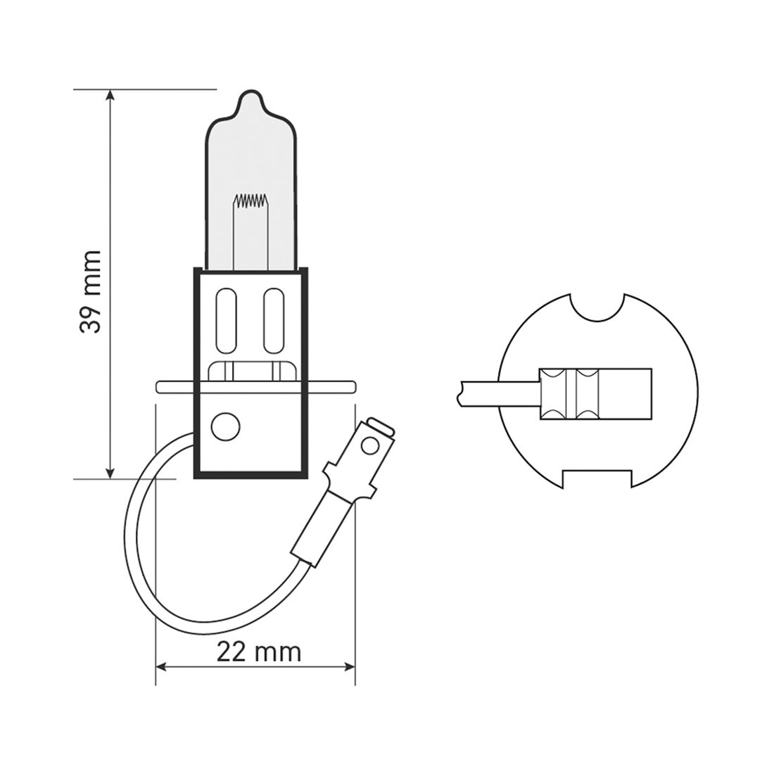 SCA Headlight Globe - H3 12V 55W, , scaau_hi-res