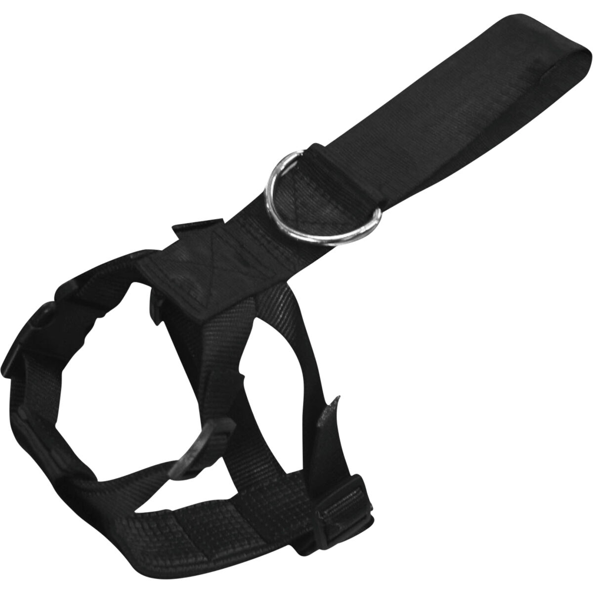 Dog seat belt supercheap auto sale