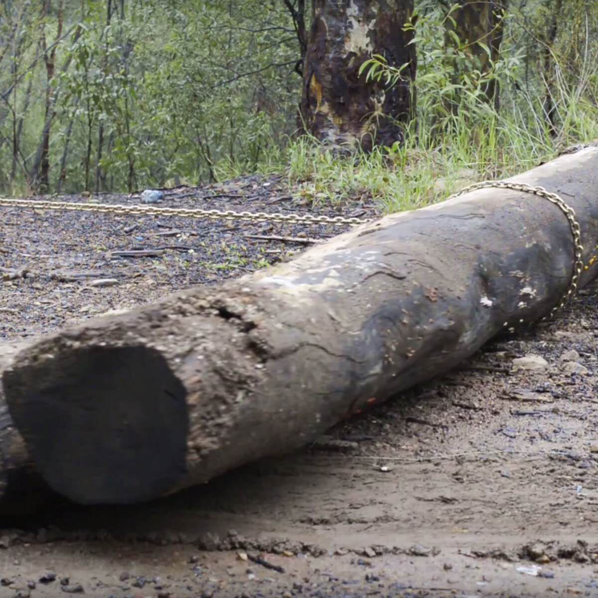 Ridge Ryder 4WD Drag Chain Kit, , scaau_hi-res